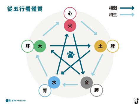 金木水火土職業|五行金木水火土屬性的行業